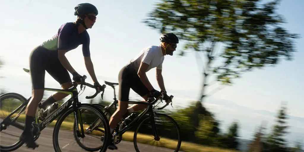 Année du vélo